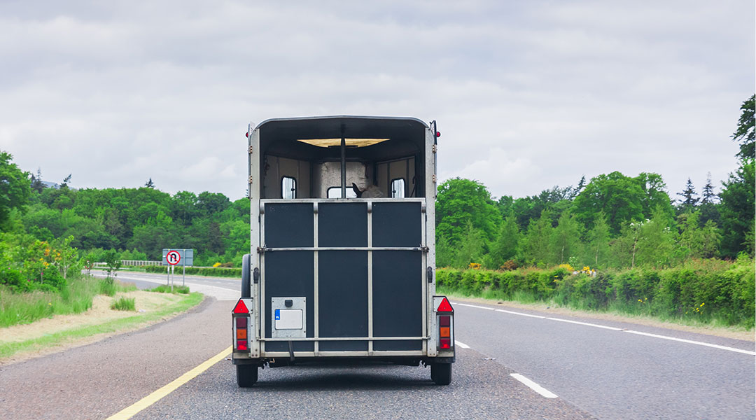 Trailer management Trailer management